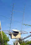 antenna.jpg (61313 bytes)